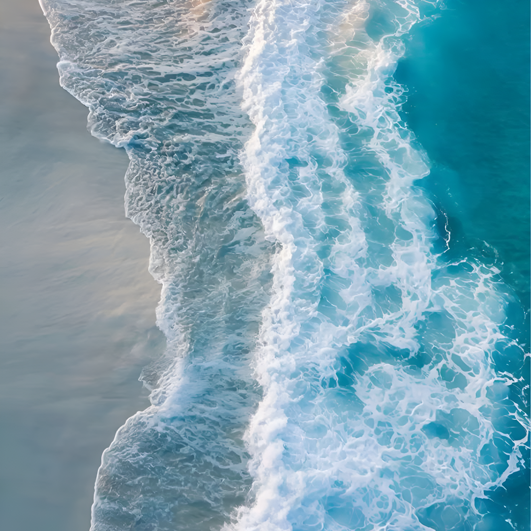 OCEAN DEW